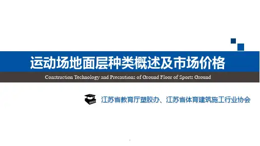 运动场地面层种类概述及市场价格修正版