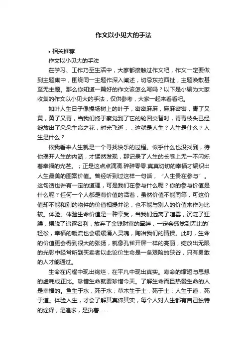作文以小见大的手法