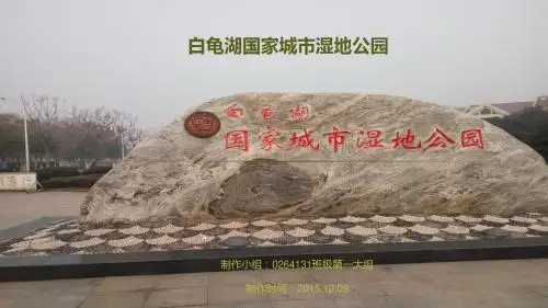 王伟0白龟湖国家城市湿地公园