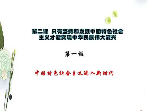 中国特色社会主义进入新时代课件