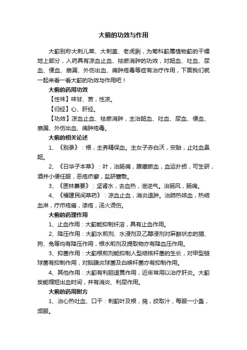 大蓟的功效与作用