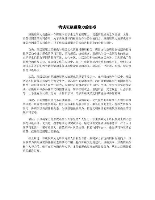 浅谈班级凝聚力的形成