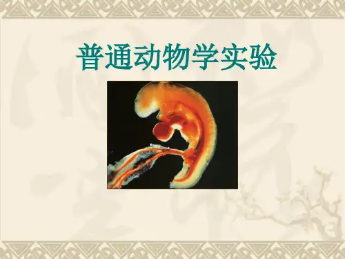 普通动物学实验