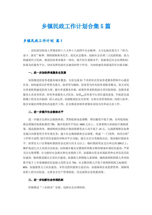 乡镇民政工作计划合集5篇