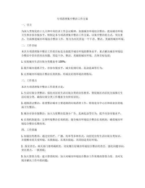 专项清理集中整治工作方案