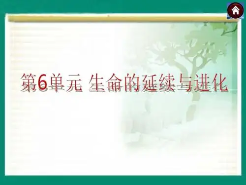 【最新】中考生物总复习 第16课时 植物的生殖与发育课件