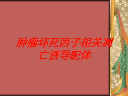 肿瘤坏死因子相关凋亡诱导配体培训课件