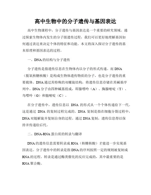 高中生物中的分子遗传与基因表达