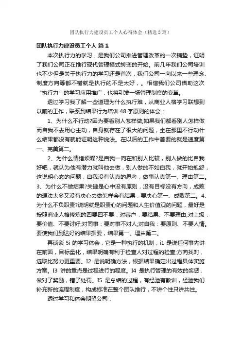 团队执行力建设员工个人心得体会（精选5篇）
