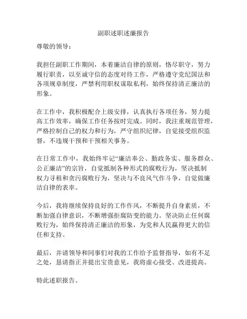副职述职述廉报告