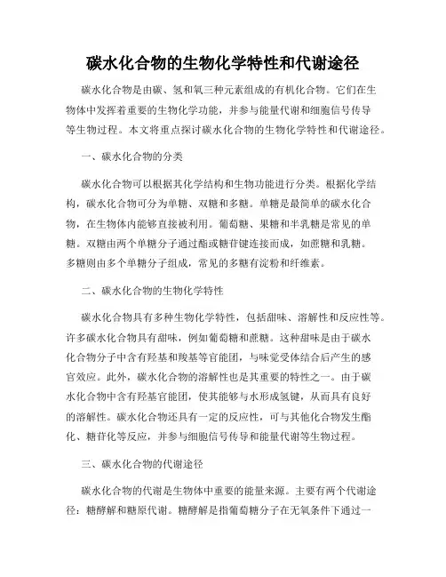 碳水化合物的生物化学特性和代谢途径