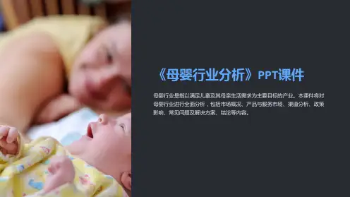 《母婴行业分析》课件