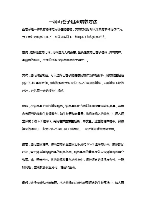 一种山苍子组织培养方法