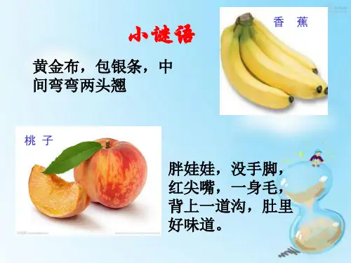我喜欢的水果——学用毕加索立体主义风格创造静物画