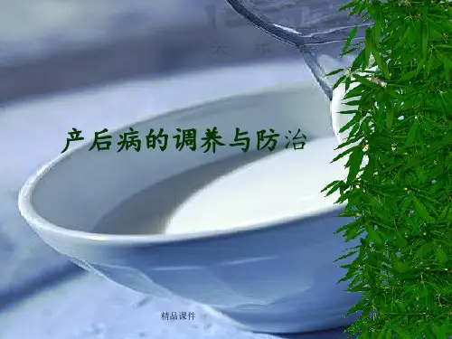 产后饮食护理