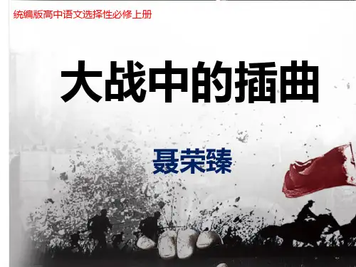 《大战中的插曲》课件30张-统编版高中语文选择性必修上册