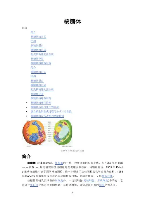 核糖体