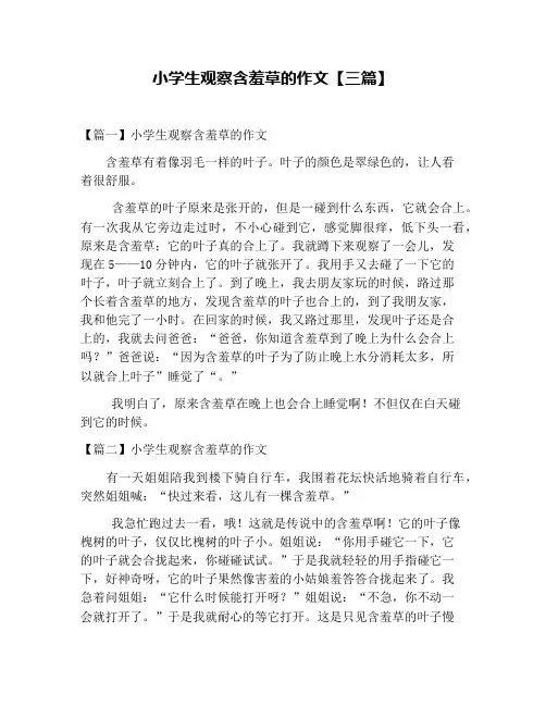 小学生观察含羞草的作文【三篇】
