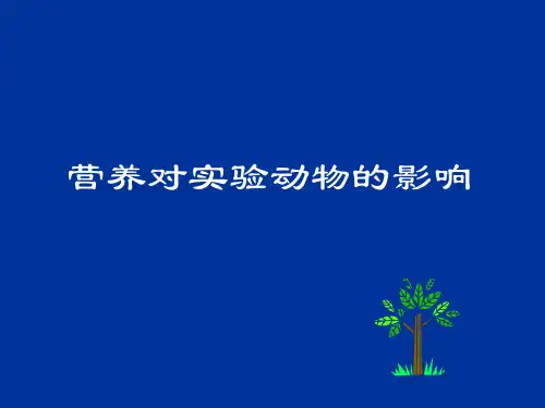营养对实验动物的影响ppt课件