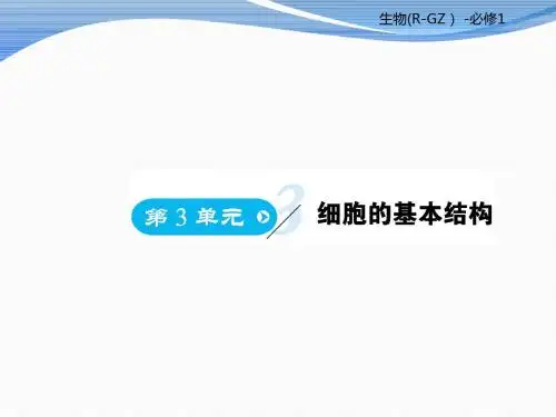 高中生物必修一第3章《细胞的基本结构》ppt课件(人教版3份)(优秀版)