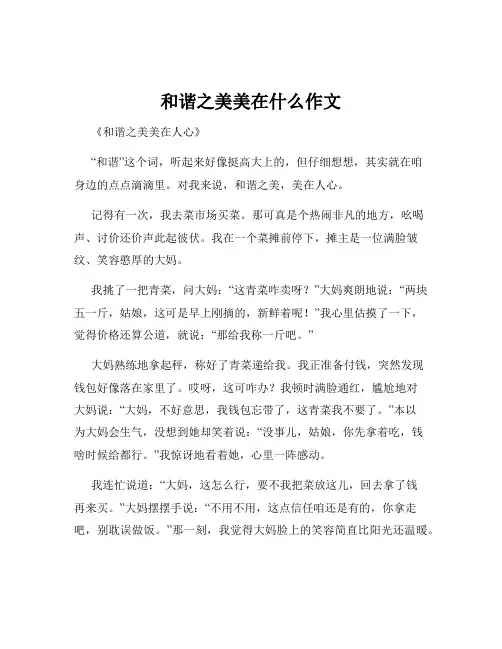 和谐之美美在什么作文