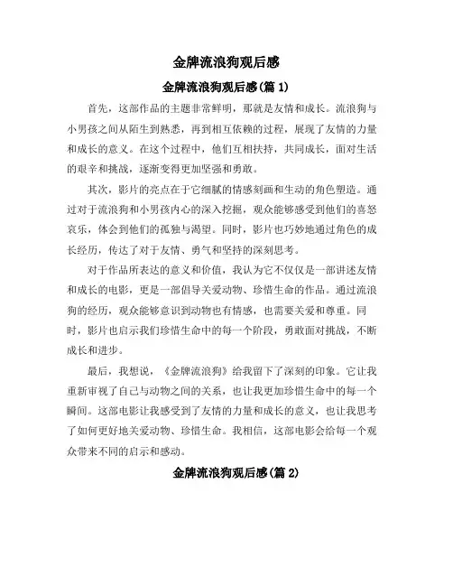 金牌流浪狗观后感