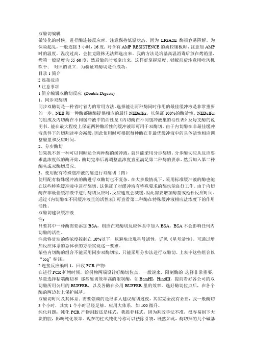 双酶切编辑