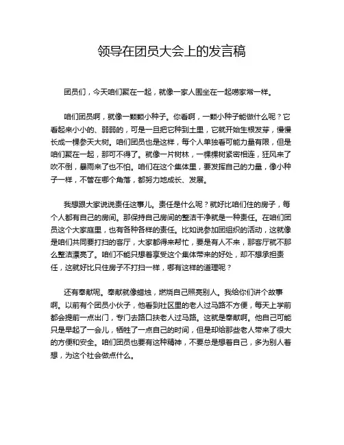 领导在团员大会上的发言稿