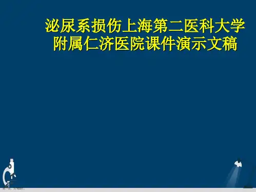 泌尿系损伤上海第二医科大学附属仁济医院课件演示文稿