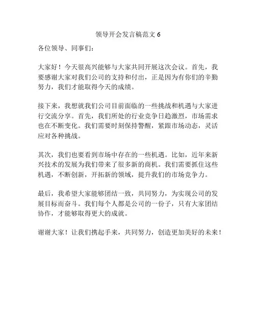 领导开会发言稿范文6
