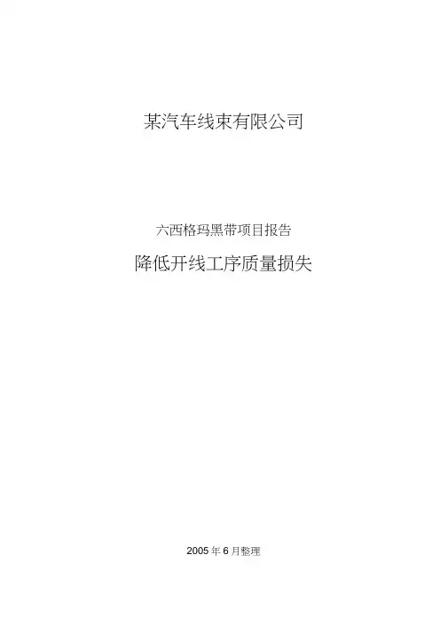 六西格玛黑带项目报告