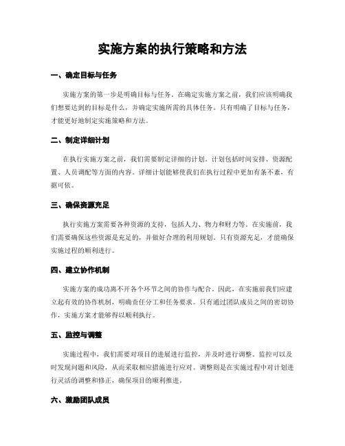 实施方案的执行策略和方法