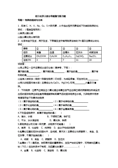 初三化学上册分专题复习(人教版) 
