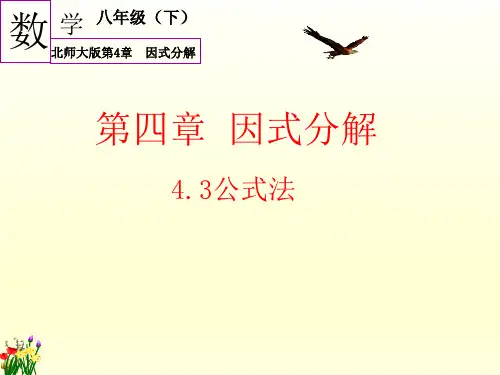 4.3 公式法 北师大版八年级数学下册课件(共25张PPT)