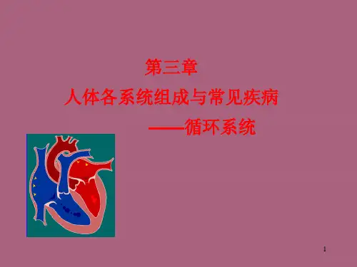 循环系统及其常见疾病版ppt课件
