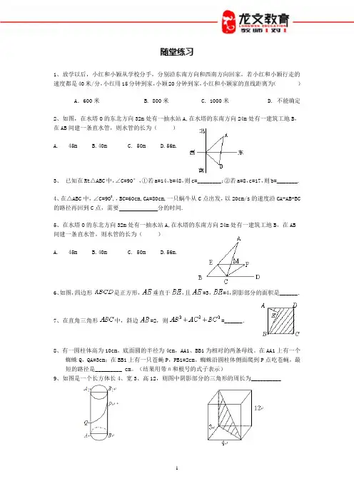 蚂蚁怎样走最近习题