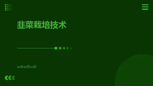 韭菜栽培技术
