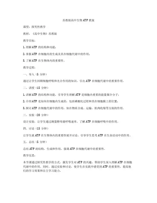 苏教版高中生物ATP教案