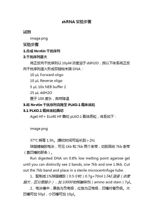 shRNA实验步骤