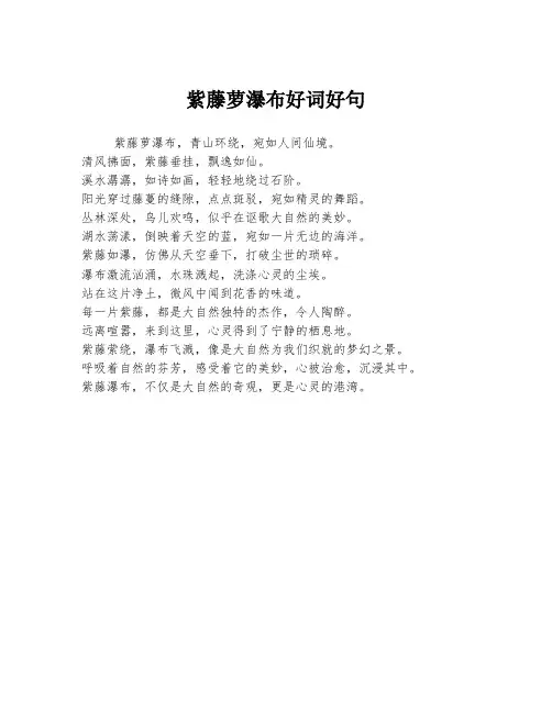 紫藤萝瀑布好词好句