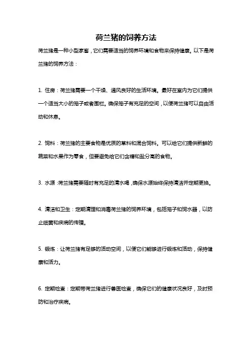 荷兰猪的饲养方法