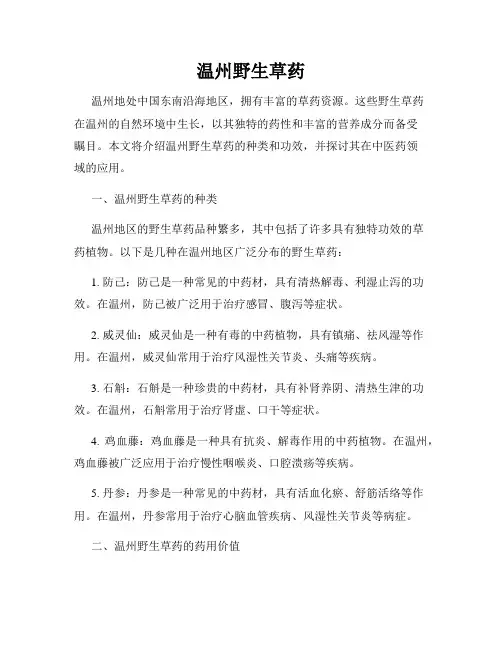 温州野生草药