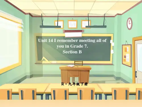 人教版初中九年级下册英语词汇教学课件 Unit 14 Section B