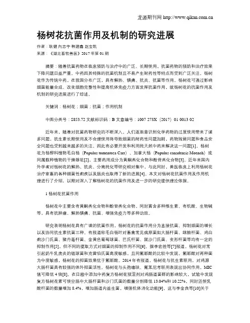 杨树花抗菌作用及机制的研究进展