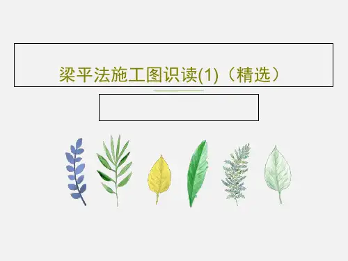 梁平法施工图识读(1)(精选)PPT共85页