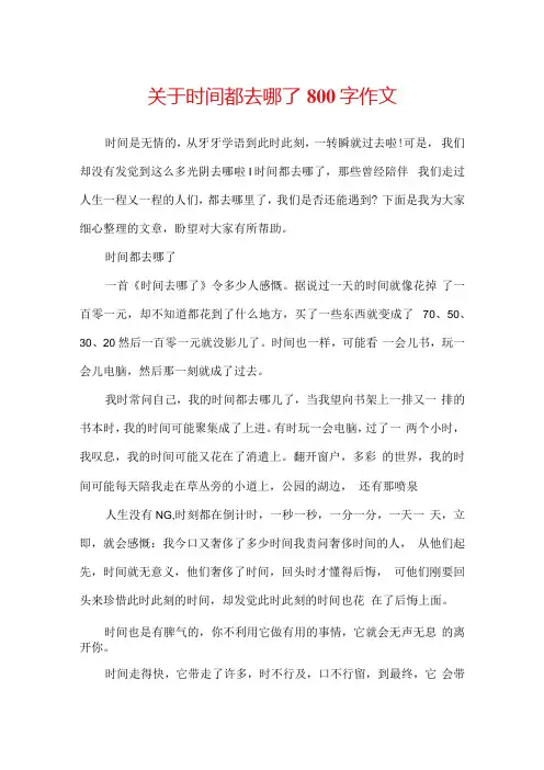 关于时间都去哪了800字作文.docx