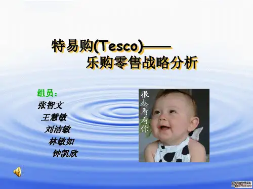 特易购(Tesco)—乐购