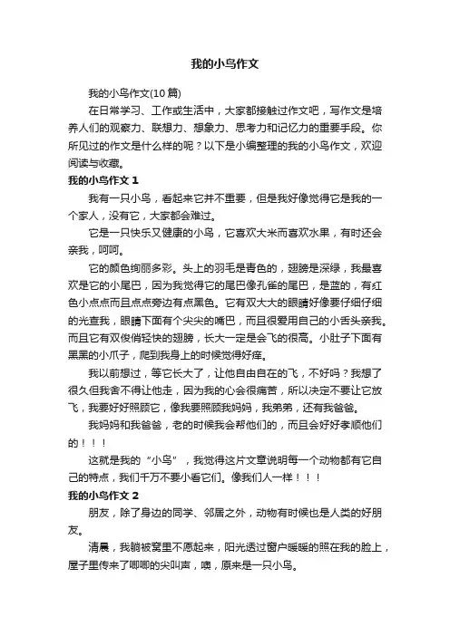 我的小鸟作文（10篇）