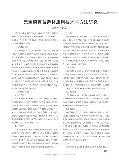 元宝枫育苗造林应用技术与方法研究