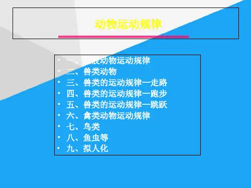 (完整)动画运动规律动物ppt